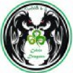 Celtic Dragons